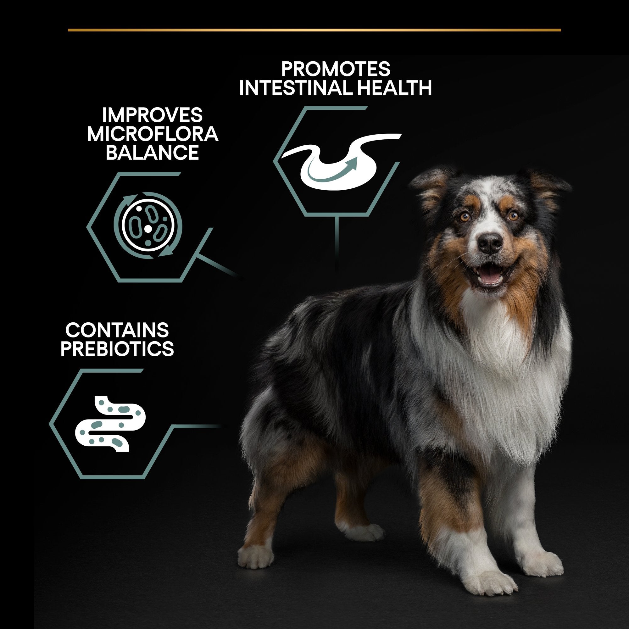 Purina Pro Plan - Medium Adult Sensitive Digestion Dog Dry Food - Lamb