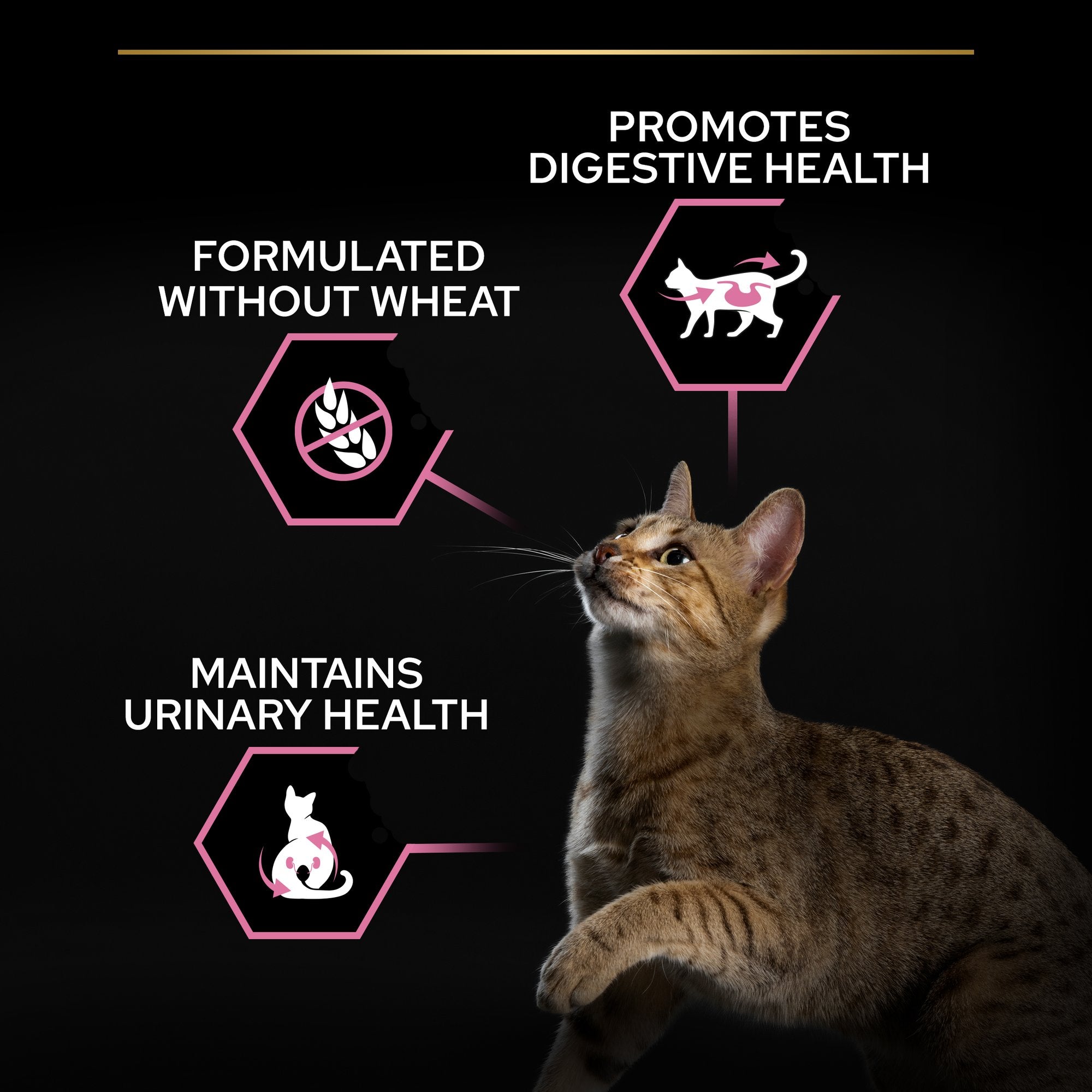 Purina Pro Plan - Sterilised Adult Delicate Digestion Cat Dry Food - Chicken