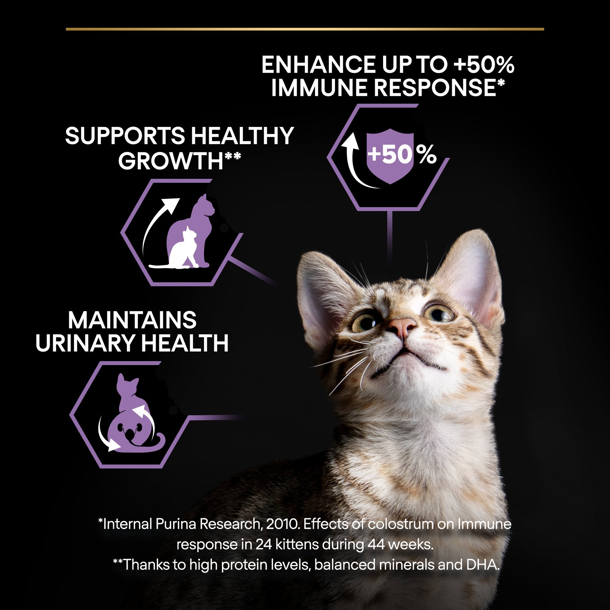 Purina Pro Plan - Kitten Healthy Start Cat Dry Food - Chicken