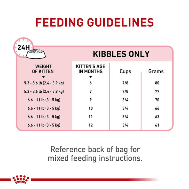 Royal Canin Kitten Sterelised Cat Dry Food