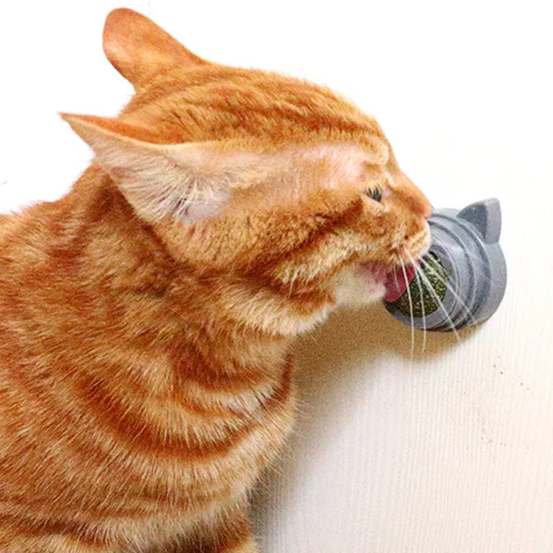 Cat Nip