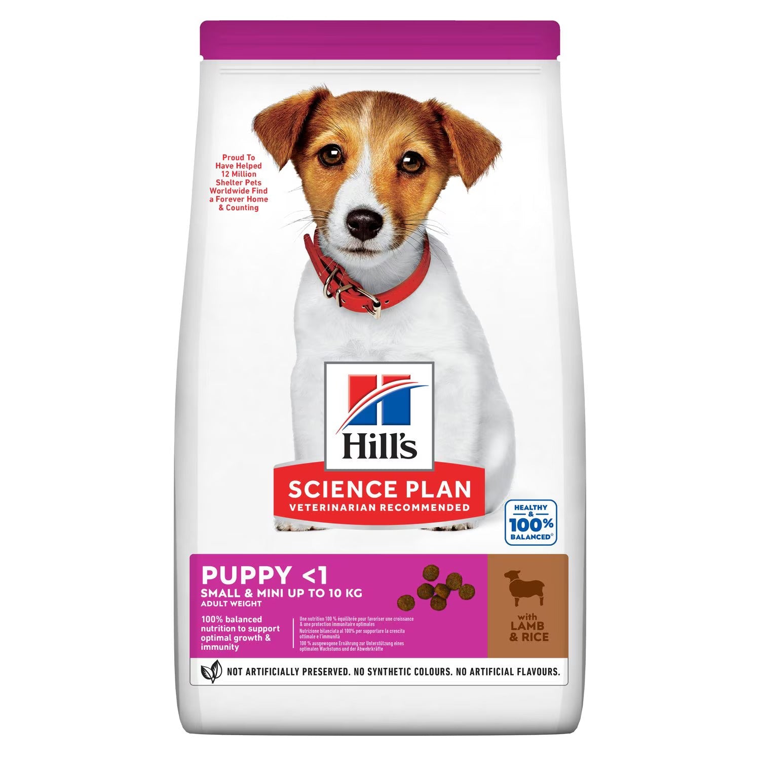 Hill's Small & Mini Breed Puppy Dry Food - Lamb & Rice