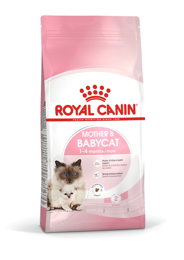 Royal Canin Mother & Babycat Cat Dry Food