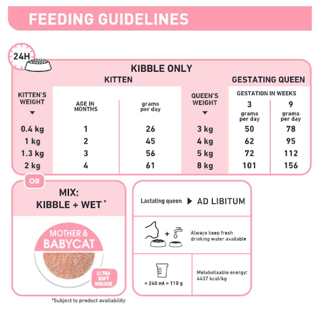 Royal Canin Mother & Babycat Cat Dry Food