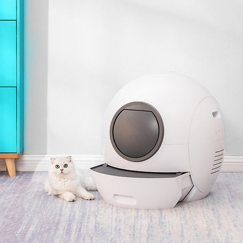 Automated Smart Litter Box With Wifi