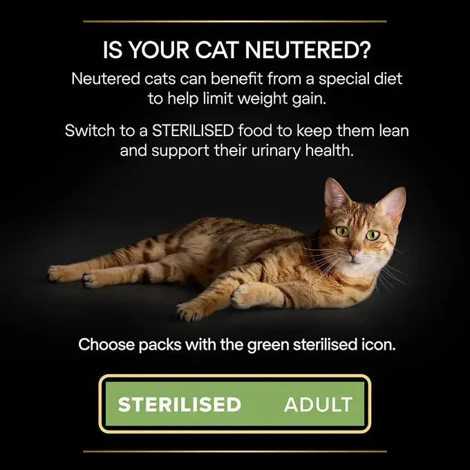 Purina Pro Plan - Sterelised Adult Maintenance Cat Wet Food - Beef in Gravy
