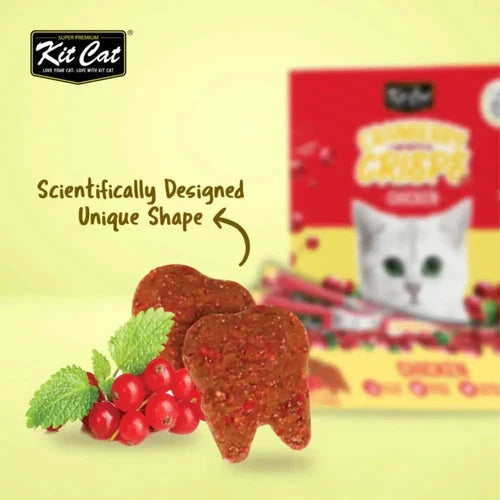 Kit Cat Cranberry Crisps - Chicken