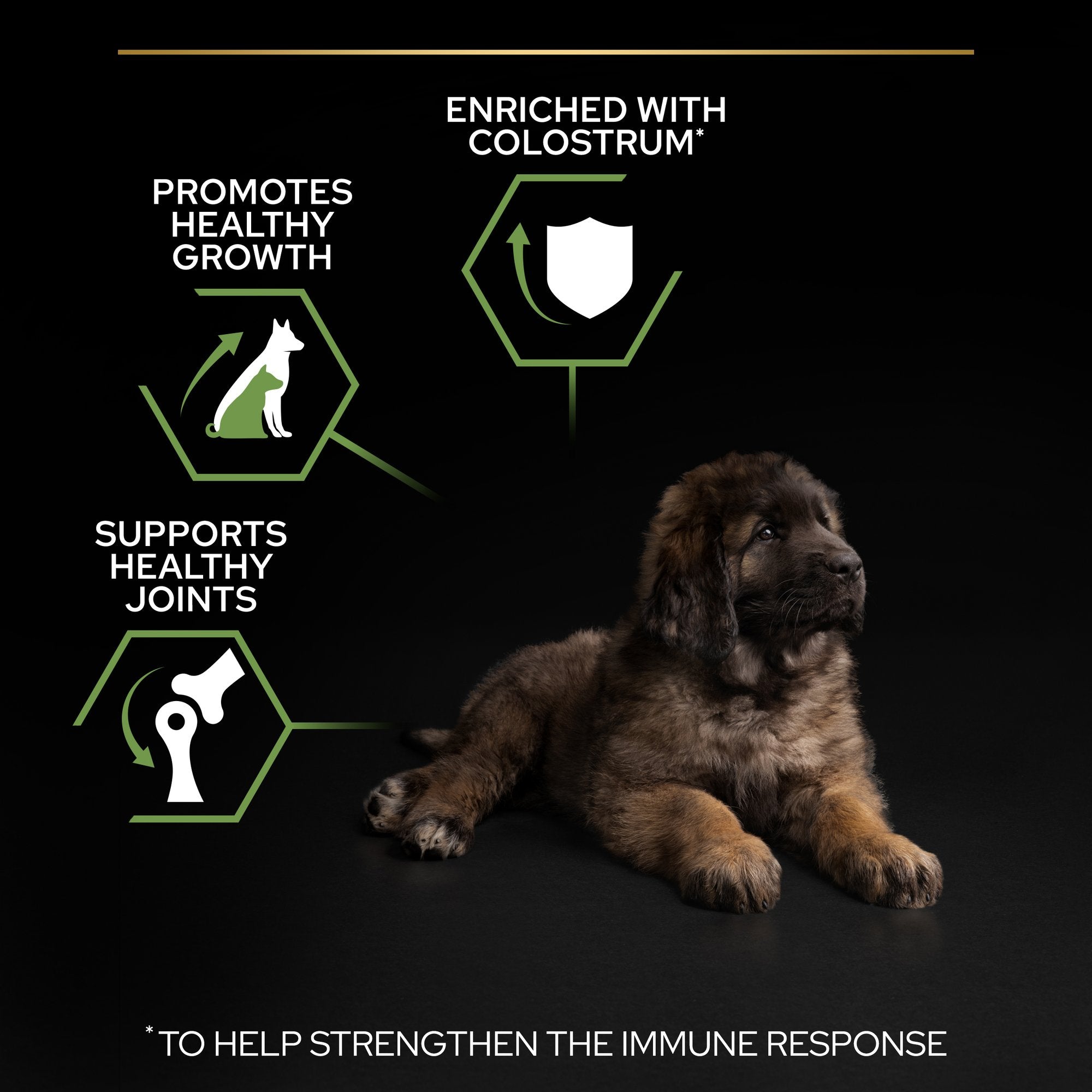 Purina Pro Plan - Large Athletic Puppy Robust Healthy Start Dog Dry Food - Chicken