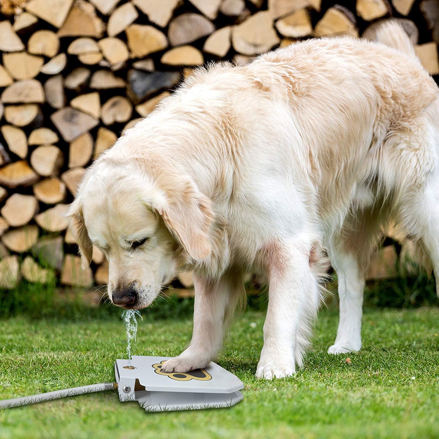 Outdoor automatic step on drinking fountain for dogs
