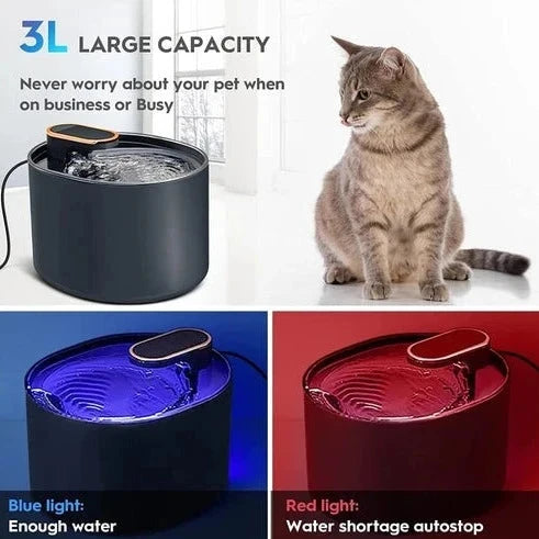 Automatic Water Dispenser