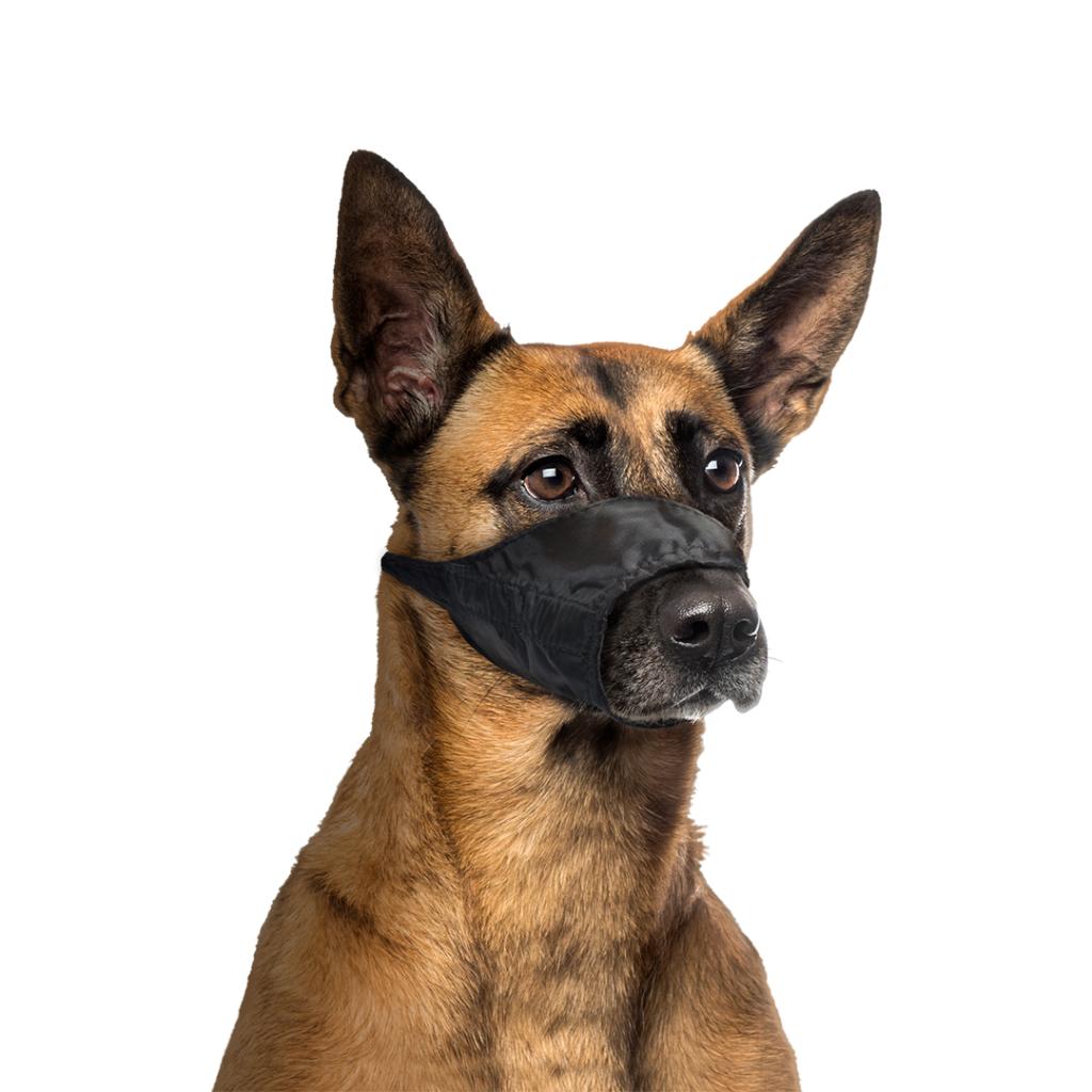 Duvo+ Safety Dog Muzzle