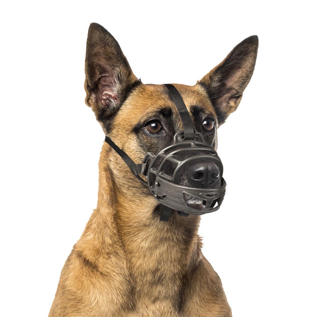 Duvo+ Dog Muzzle Rubber