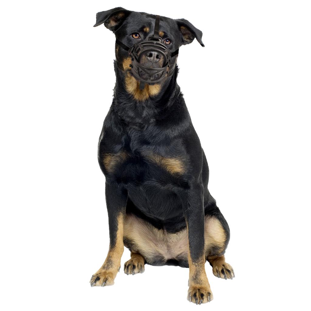 Duvo+ Dog Muzzle Rubber