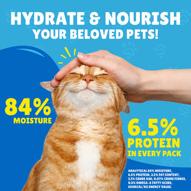 Purina FRISKIES Salmon in Gravy Wet Cat Food - Shaking Tails