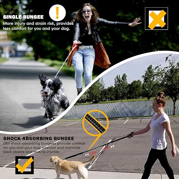 Medium to Large Dog Buckle - Explosion-Proof Impact Design