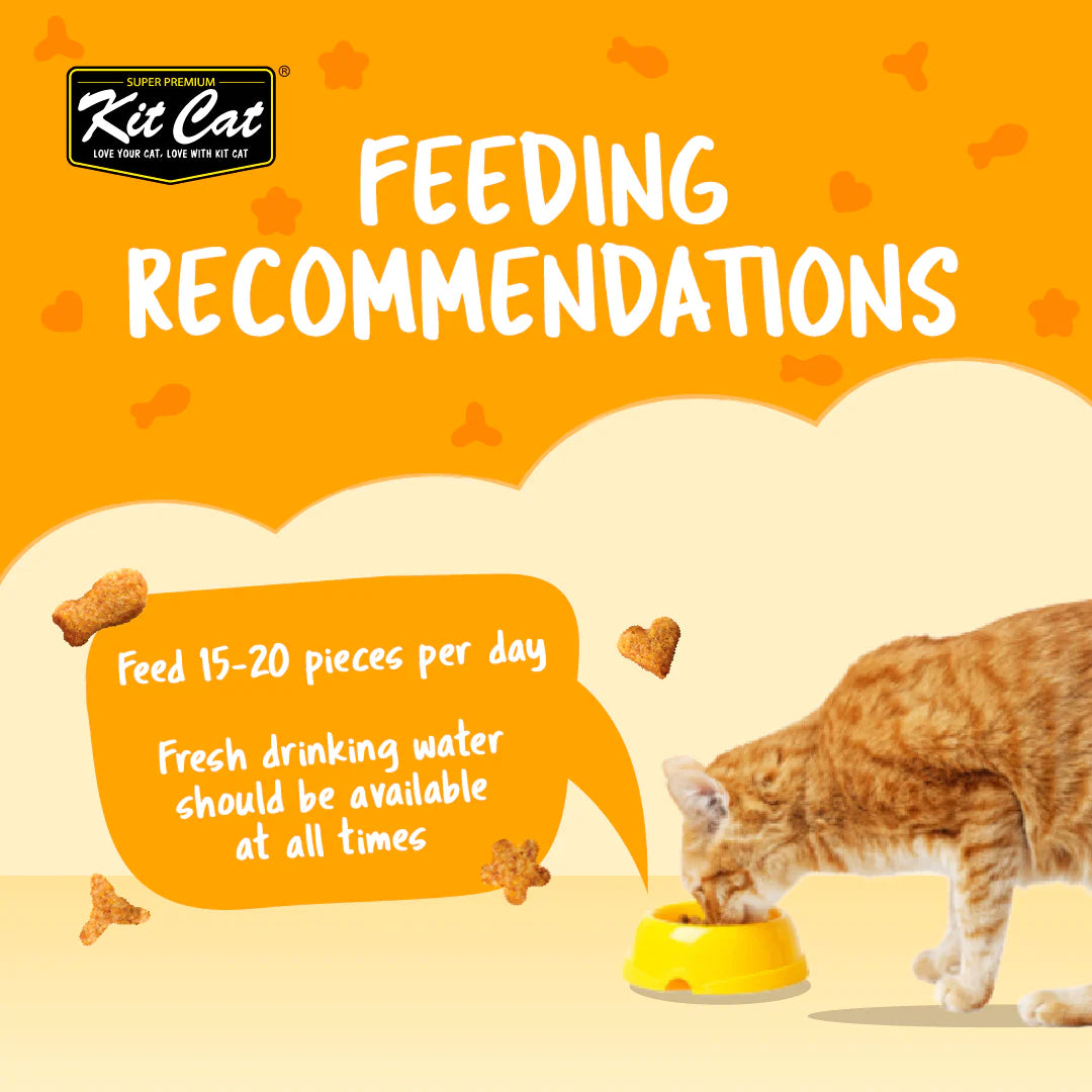 Kit Cat Kitty Crunch Chicken Flavor - Shaking Tails