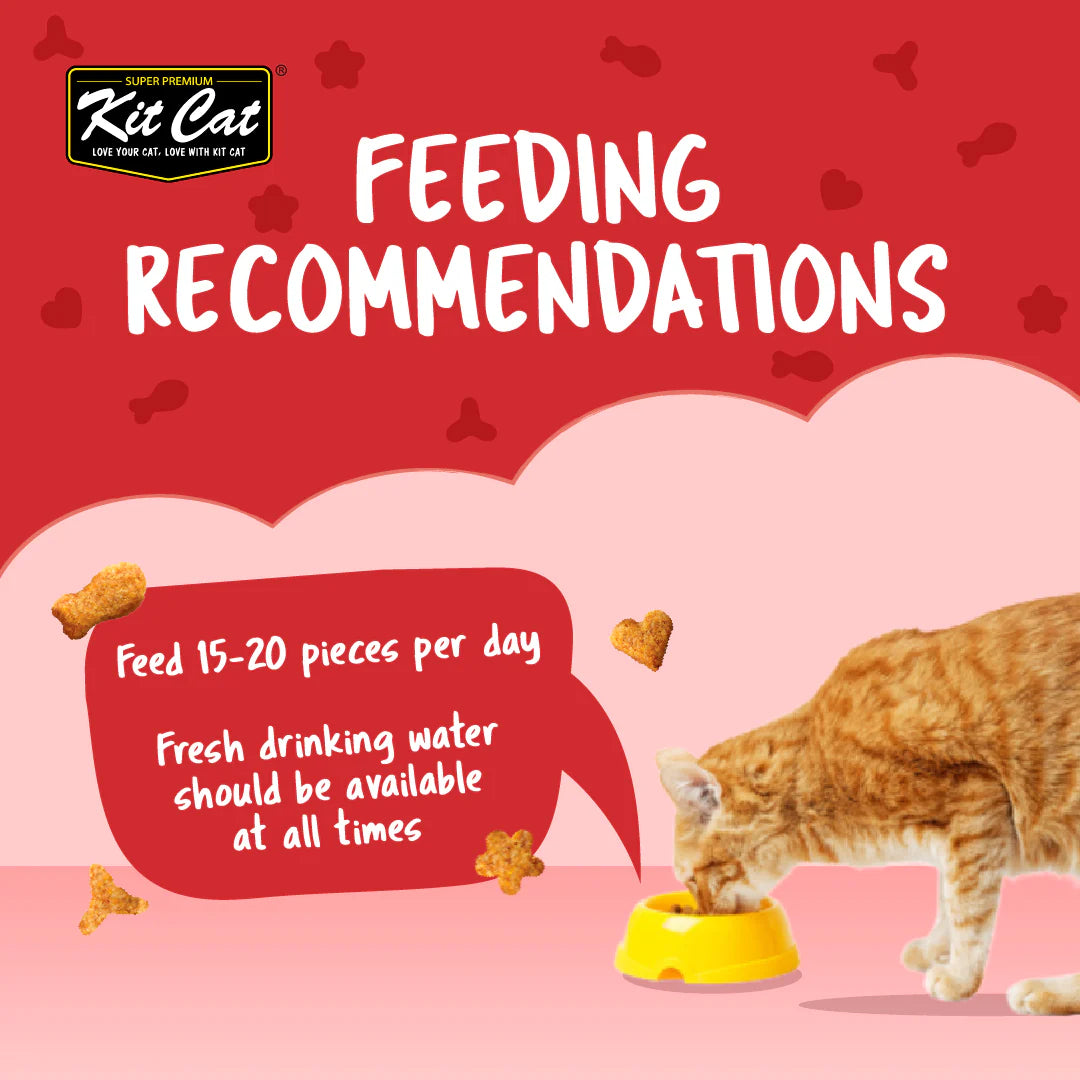 Kit Cat Kitty Crunch Beef Flavor - Shaking Tails