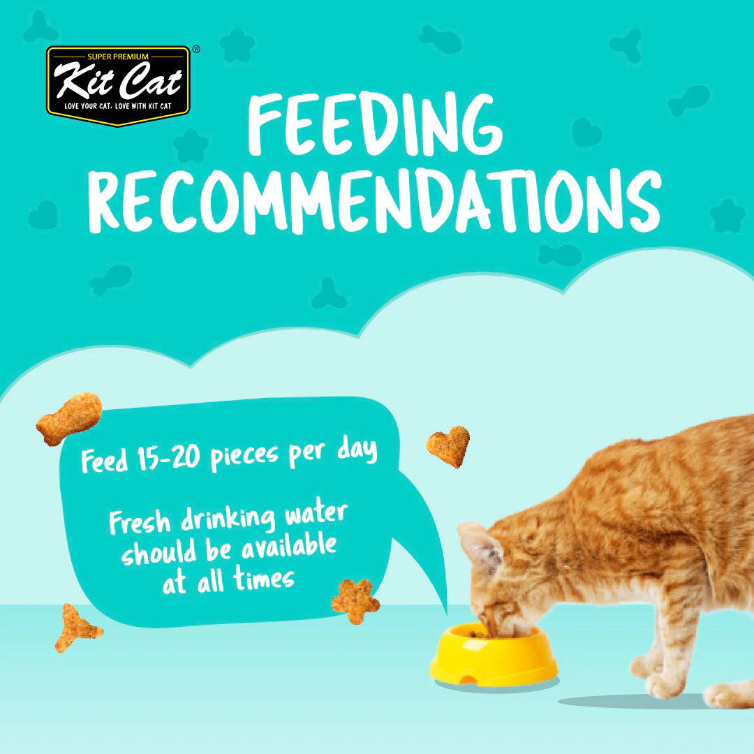 Kit Cat Kitty Crunch Lamb Flavor - Shaking Tails