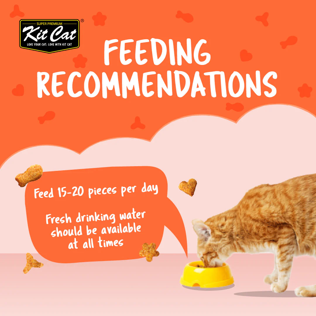 Kit Cat Kitty Crunch Salmon Flavor - Shaking Tails