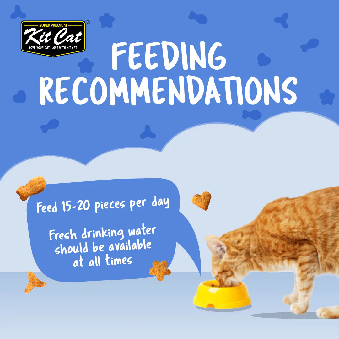 Kit Cat Kitty Crunch Seafood Flavor - Shaking Tails