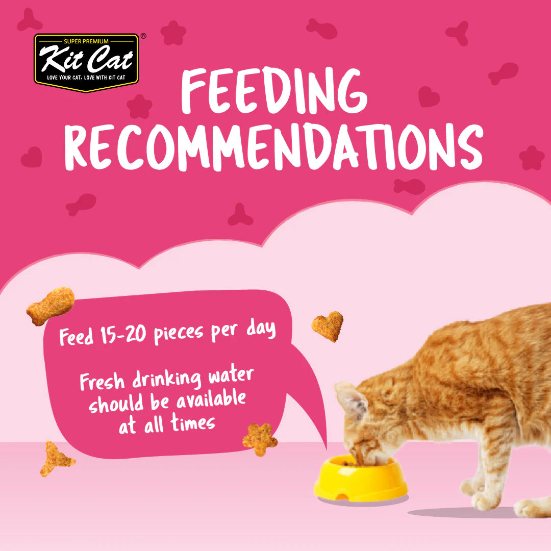 Kit Cat Kitty Crunch Tuna Flavor - Shaking Tails