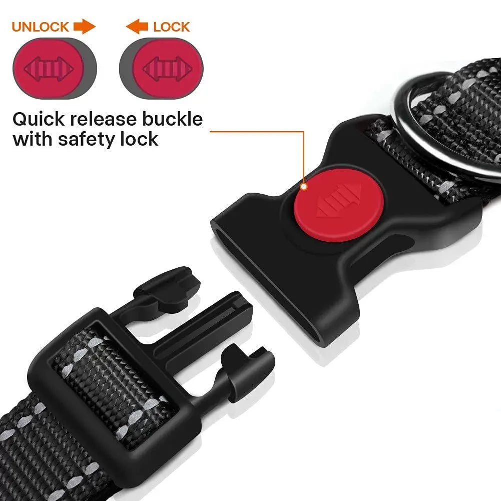 Adjustable Reflective Webbing Collar With Leash For Dogs And Cats - Shaking Tails