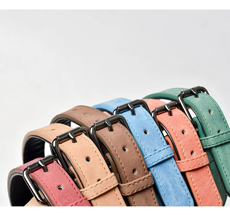 High Quality Leather Pet Collar Bundle With Leashes - Shaking Tails