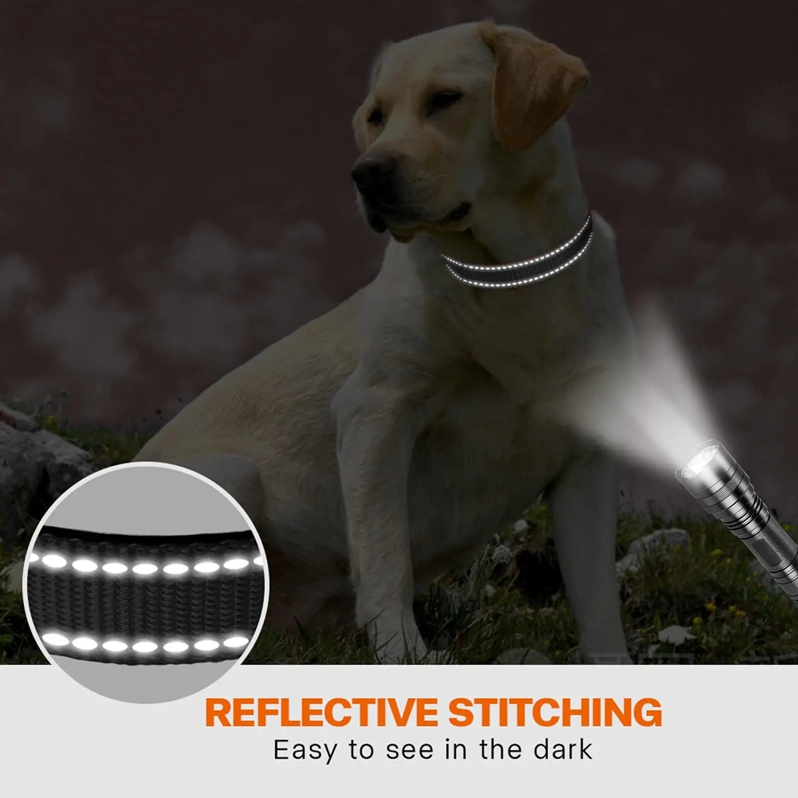 Adjustable Reflective Webbing Collar With Leash For Dogs And Cats - Shaking Tails