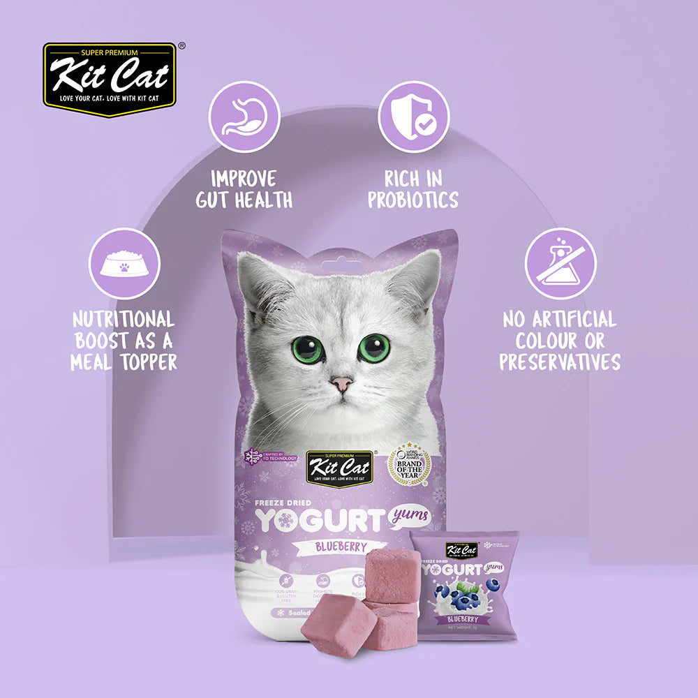 Kit Cat Freeze Dried Yogurt Yums Blueberry - Shaking Tails