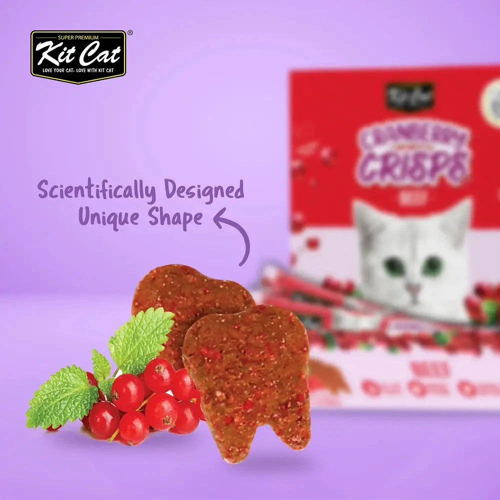 Kit Cat Cranberry Crisps - Beef