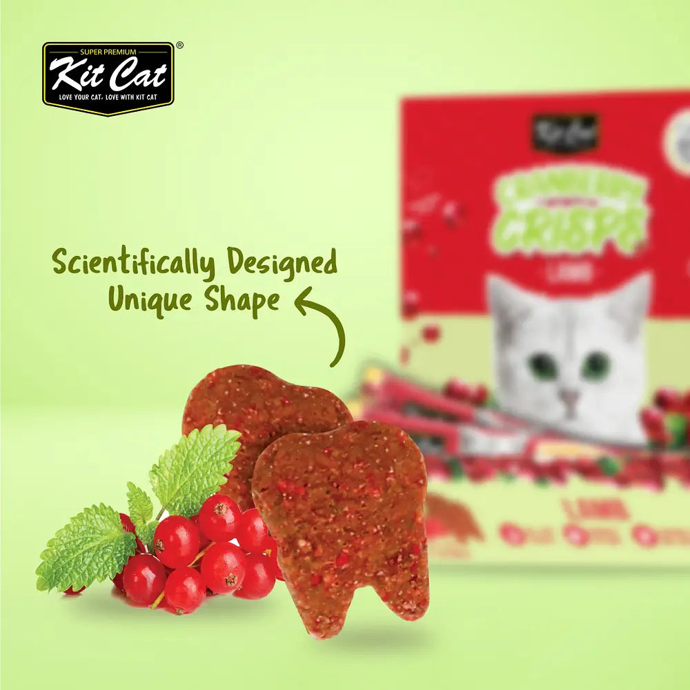 Kit Cat Cranberry Crisps - Lamb - Shaking Tails