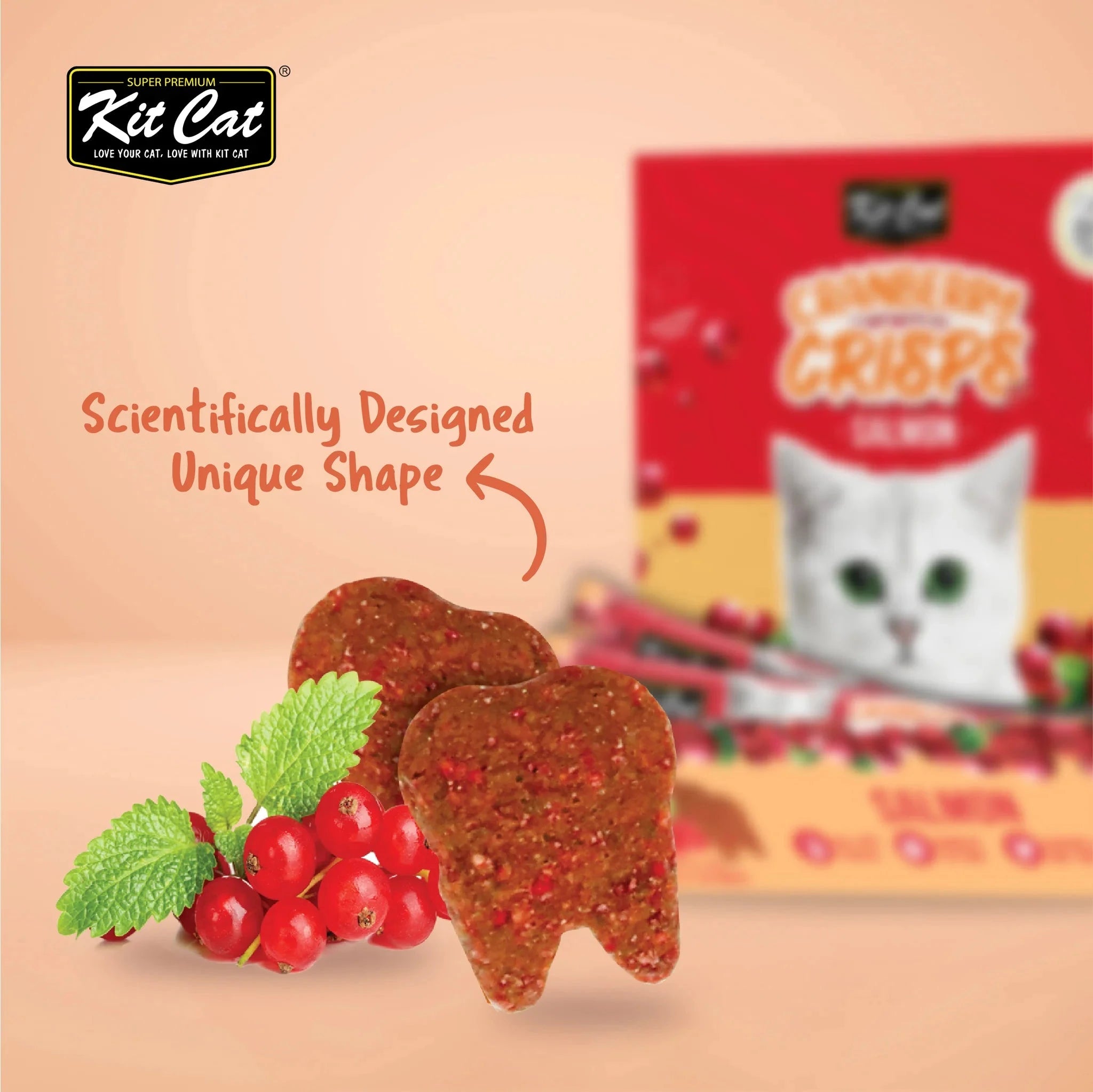 Kit Cat Cranberry Crisps - Salmon