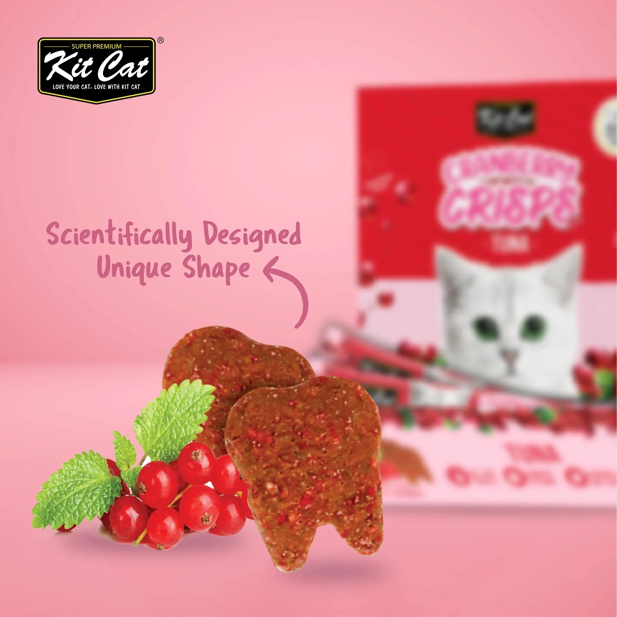 Kit Cat Cranberry Crisps - Tuna
