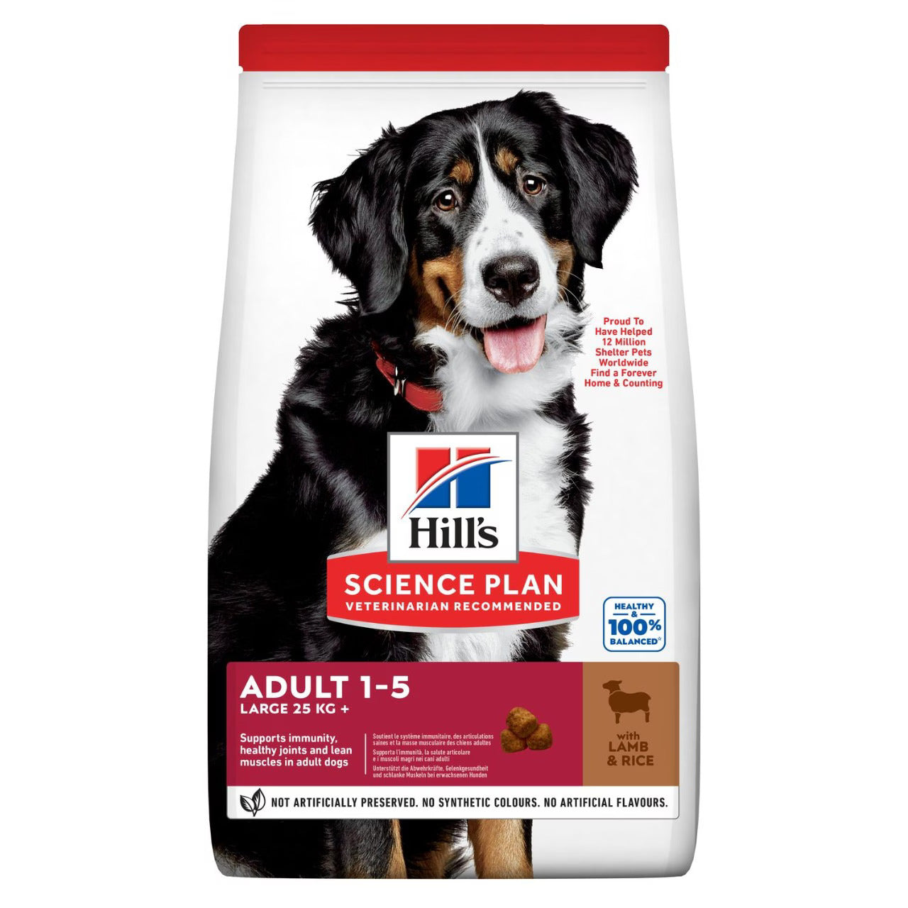 Hill's Large Breed Adult Dog Dry Food - Lamb & Rice