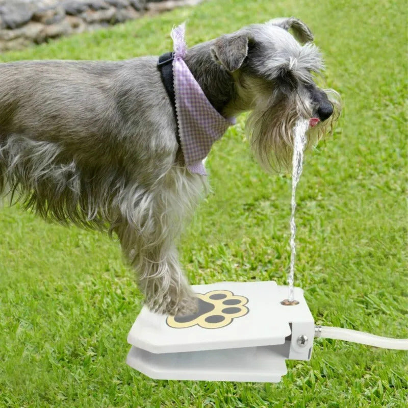 Outdoor automatic step on drinking fountain for dogs