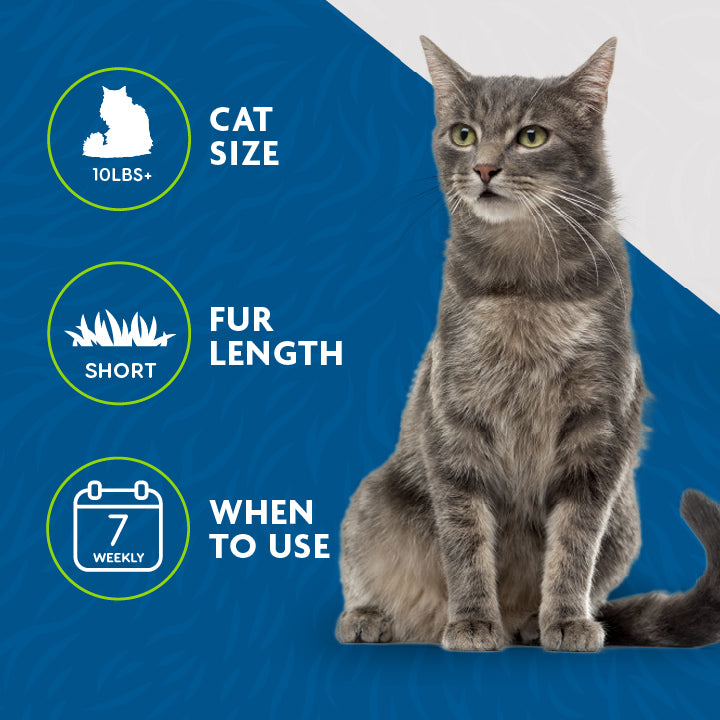 FURminator deShedding Tool – Medium/Large Short-Hair Cats | Reduces Shedding