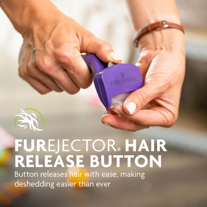 FURminator deShedding Tool – Medium/Large Short-Hair Cats | Reduces Shedding