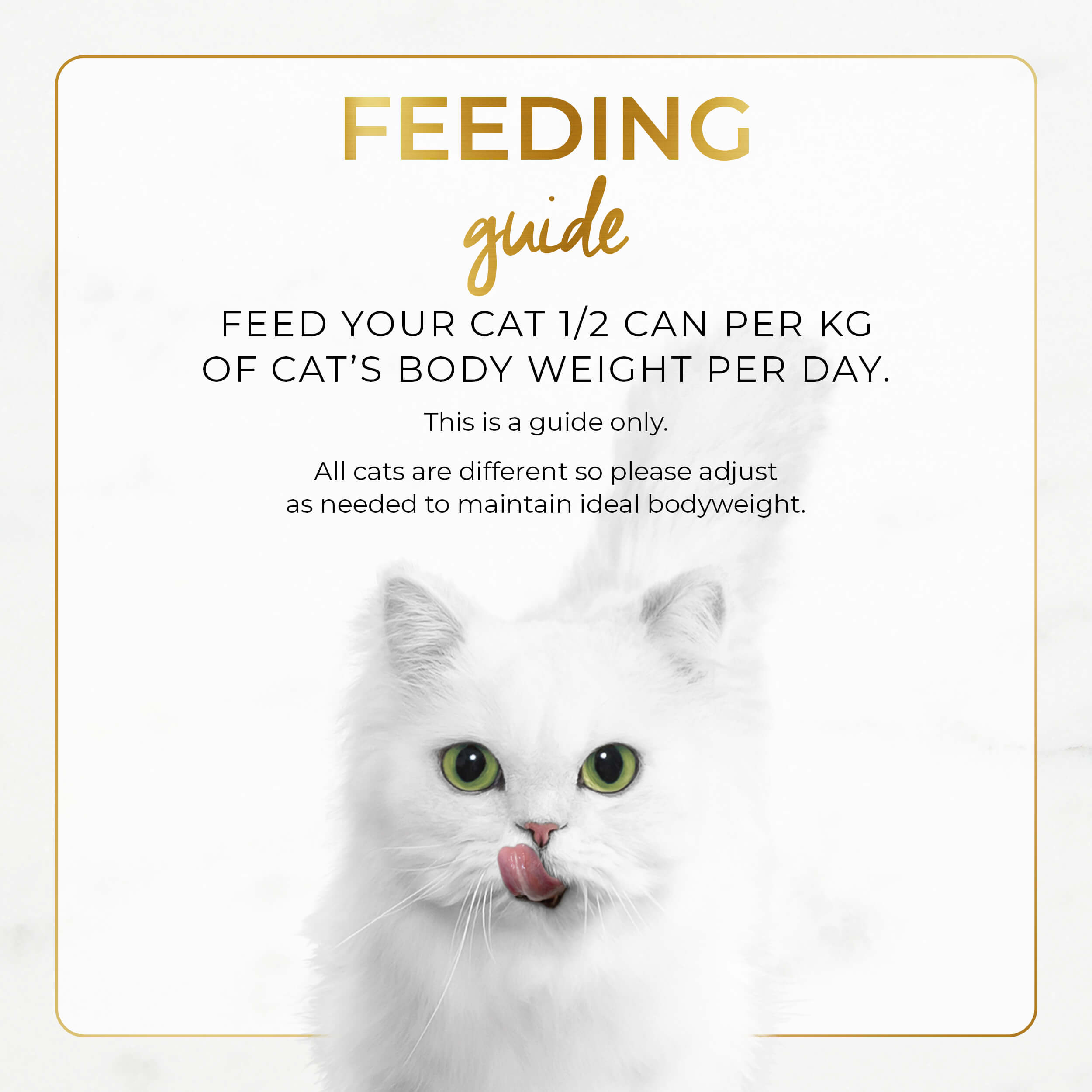 Purina FANCY FEAST Classic Pate Savoury Salmon Feast Gourmet Cat Food - Shaking Tails