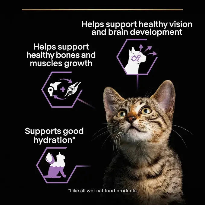 Purina Pro Plan - Kitten Healthy Start Cat Wet Food - Turkey in Gravy