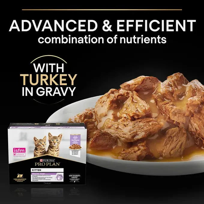 Purina Pro Plan - Kitten Healthy Start Cat Wet Food - Turkey in Gravy