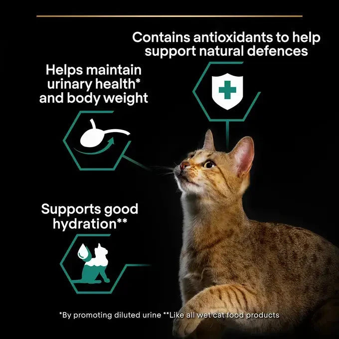 Purina Pro Plan - Sterelised Adult Maintenance Cat Wet Food - Beef in Gravy