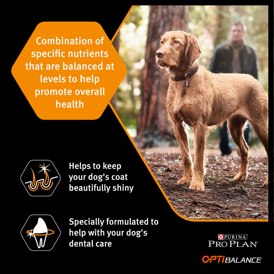 Purina Pro Plan - Small & Mini Adult Everyday Nutrition Dog Dry Food - Chicken