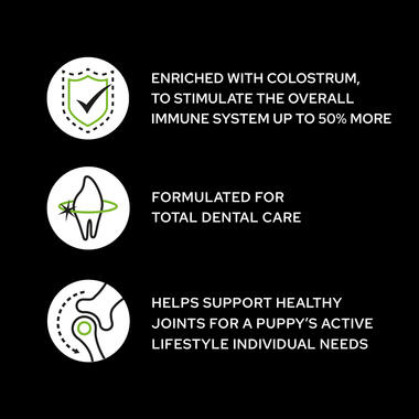 Purina Pro Plan Small & Mini Puppy Healthy Start - Chicken