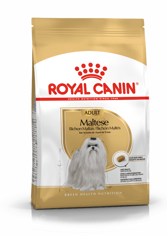 Royal Canin - Maltese Adult Dog Dry Food