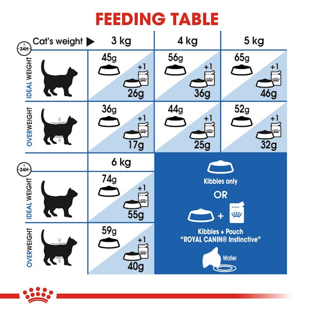 Royal Canin Adult Indoor  Cat Dry Food