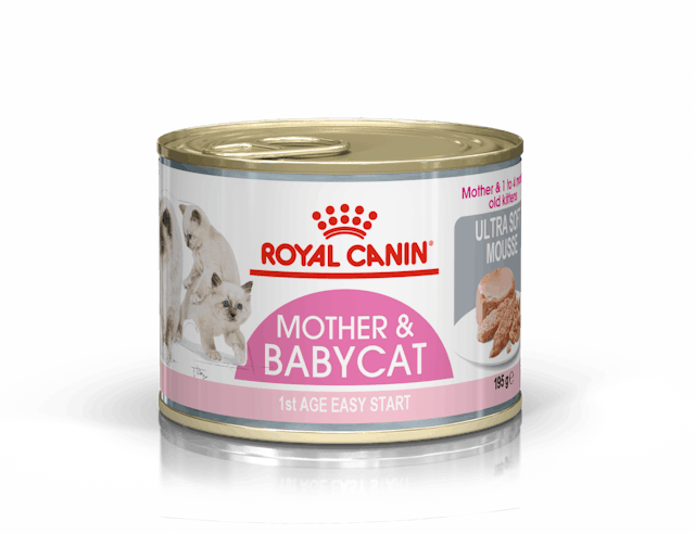 Royal Canin - Mother & Babycat Ultra Soft Mousse in Sauce Canned Cat Wet Food