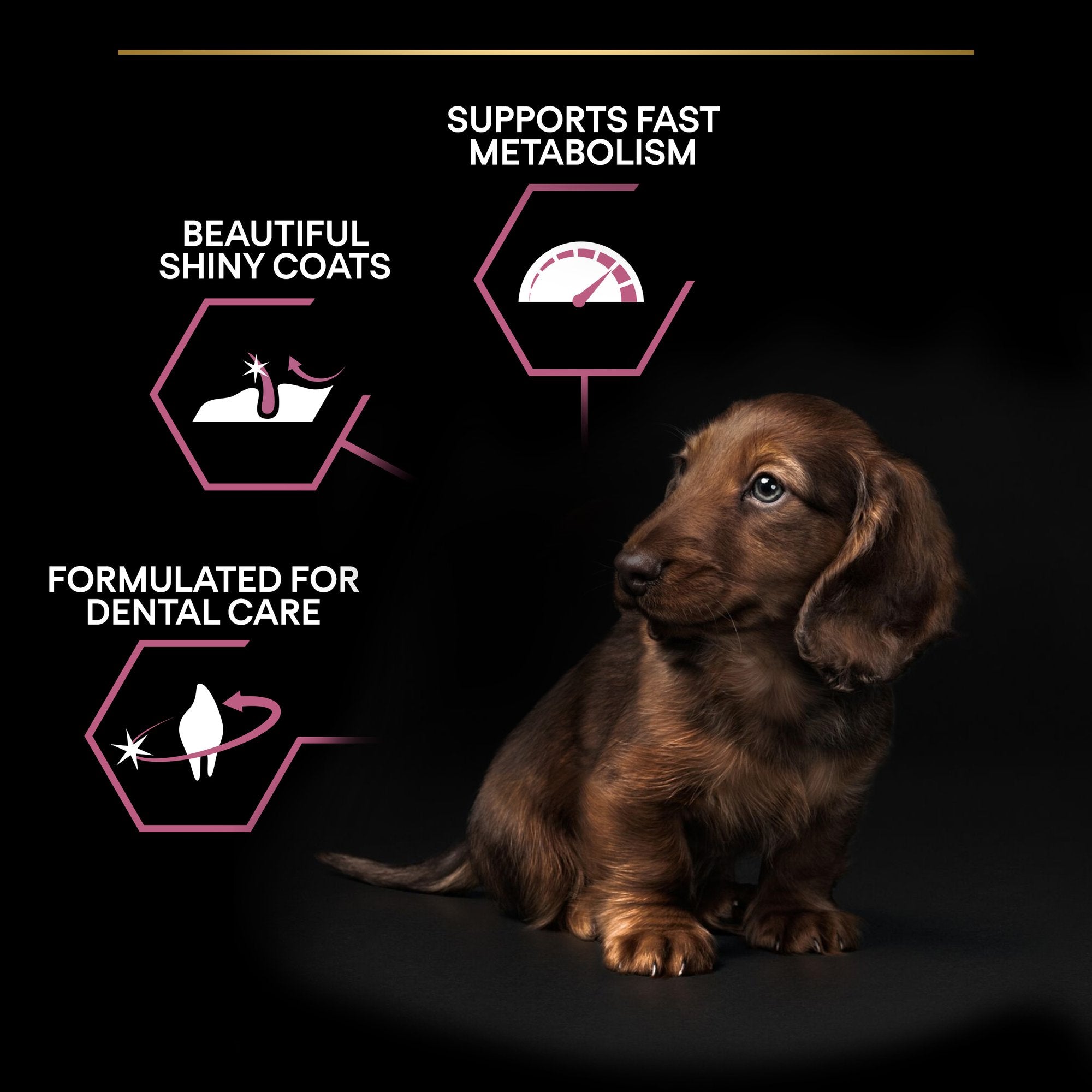 Purina Pro Plan - Small & Mini Puppy Sensitive Skin Dog Dry Food - Salmon