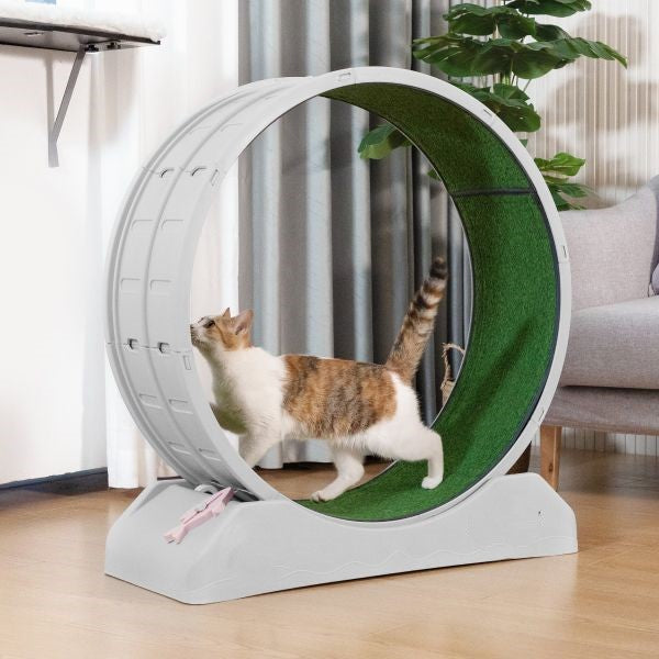 Silent Treadmill Running Wheel for Cats and Small Dogs