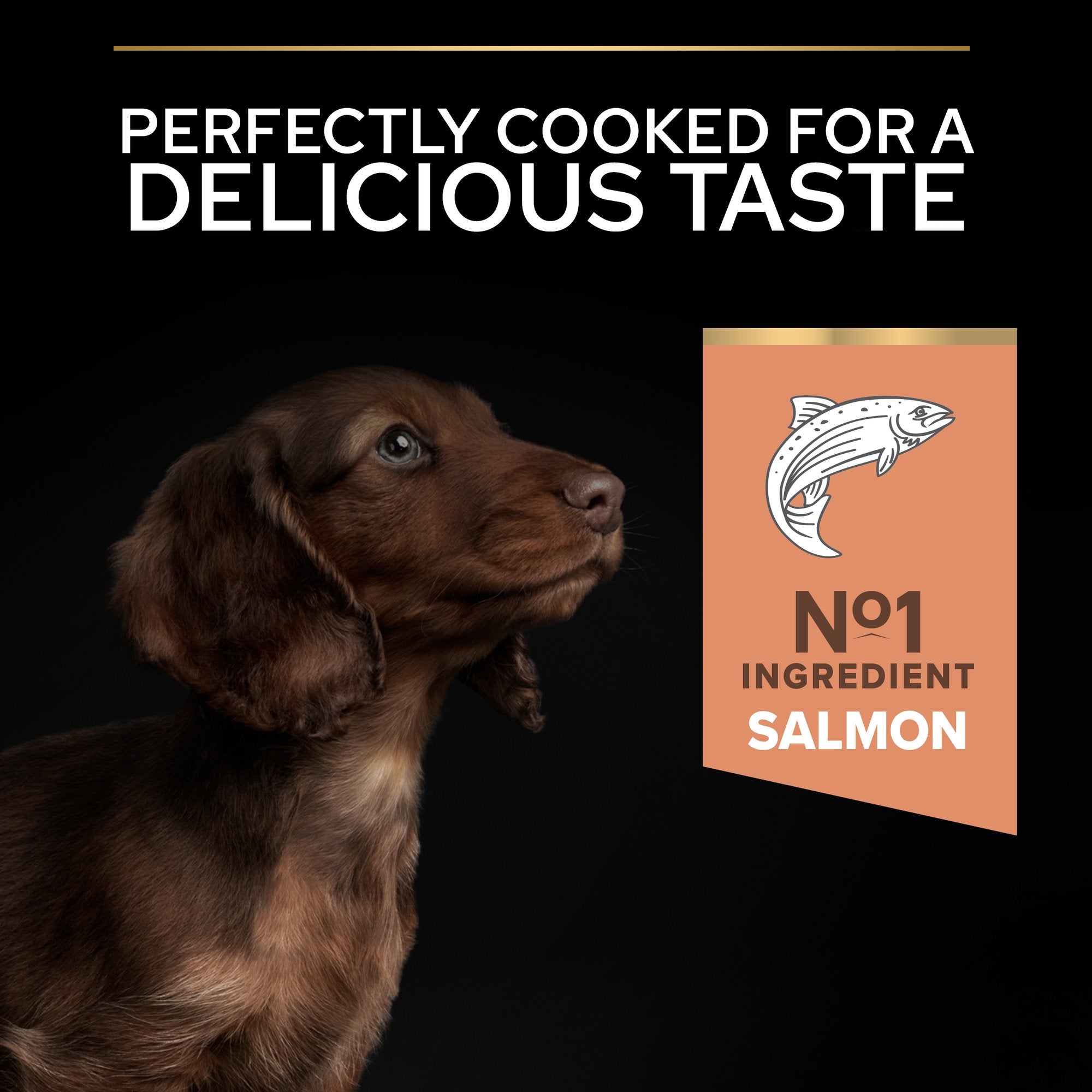 Purina Pro Plan - Small & Mini Puppy Sensitive Skin Dog Dry Food - Salmon