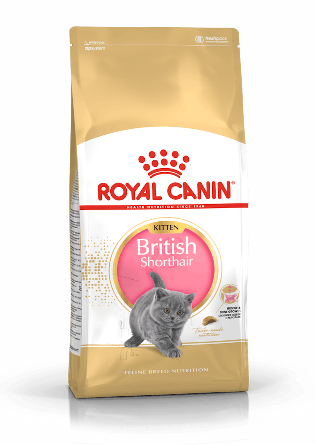 Royal Canin British shorthair Kitten Cat Dry Food